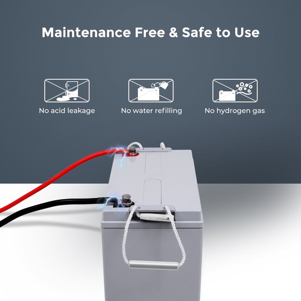 Renogy 100Ah Deep Cycle AGM Battery 12 Volt, 1100A Max Discharge Current, Safe Charge Appliances or RVs, Marine, Solar, Off-Grid
