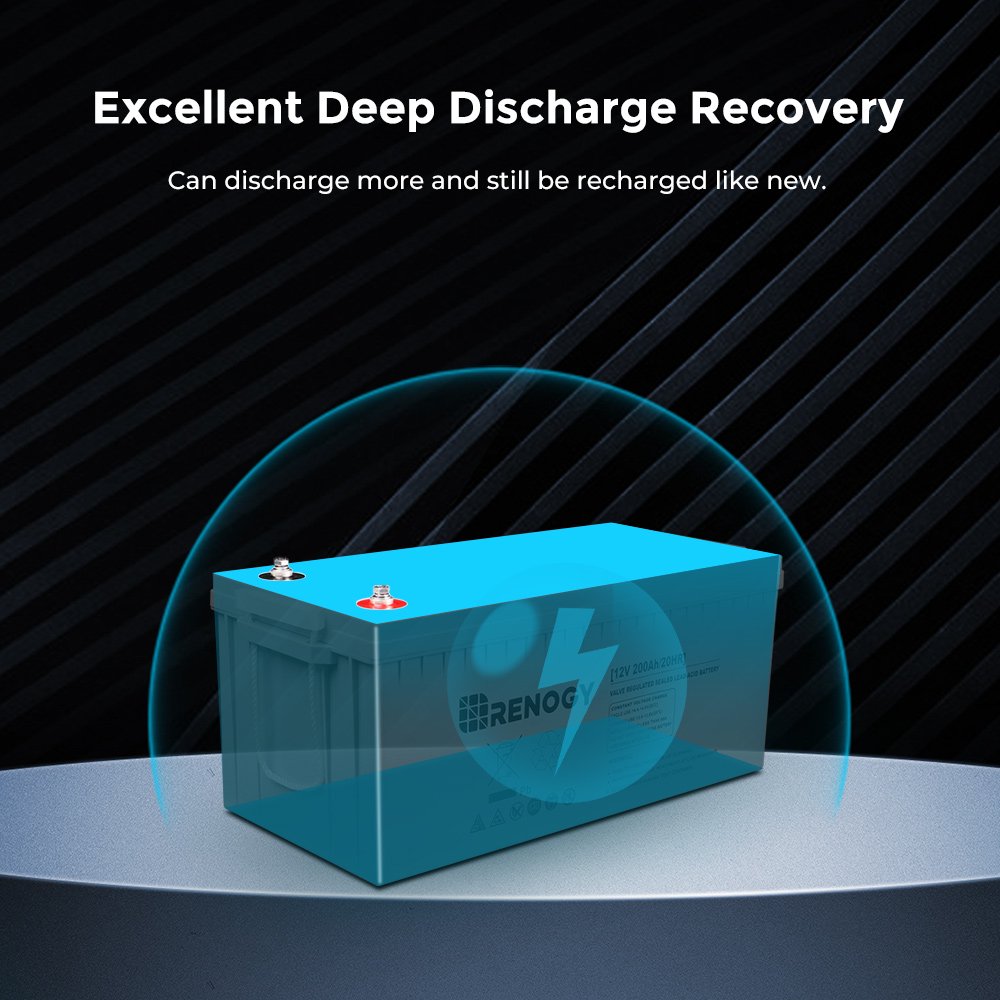 Renogy 200Ah Deep Cycle AGM Battery 12 Volt, 2000A Max Discharge Current, Safe Charge Appliances or RVs, Marine, Solar, Off-Grid