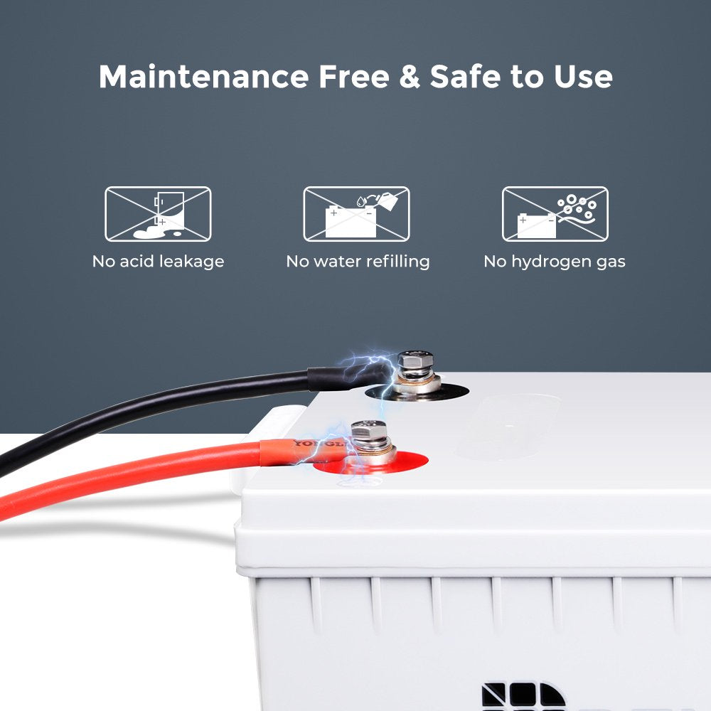 Renogy 200Ah Deep Cycle AGM Battery 12 Volt, 2000A Max Discharge Current, Safe Charge Appliances or RVs, Marine, Solar, Off-Grid