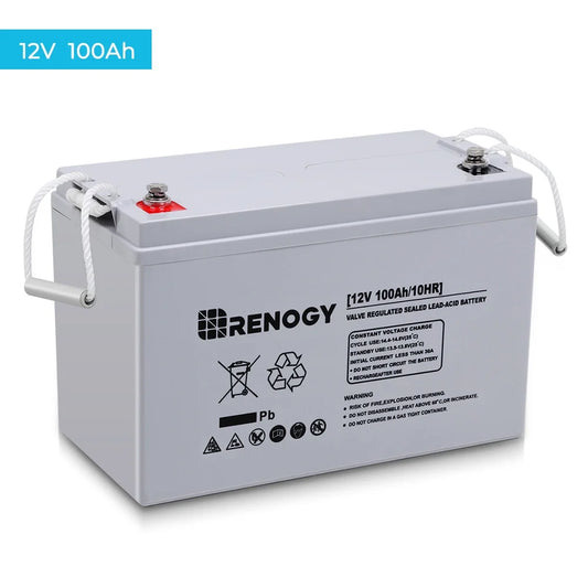Renogy 100Ah Deep Cycle AGM Battery 12 Volt, 1100A Max Discharge Current, Safe Charge Appliances or RVs, Marine, Solar, Off-Grid