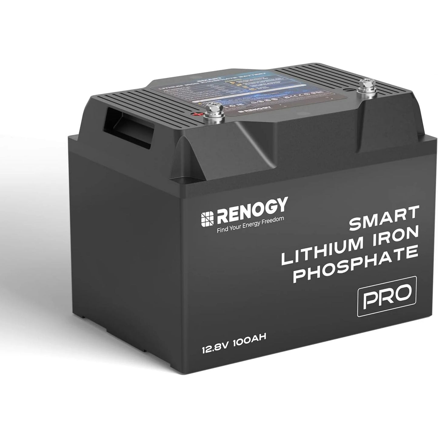 Renogy 12V 100Ah Bluetooth Self-Heating Lithium LiFePO4 Deep Cycle Battery, 5000+Deep Cycles, dust-proof IP67, Backup Power for RV, Cabin, and Marine Applications-Pro Series