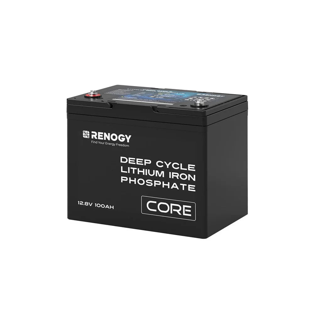 Renogy 12V 100Ah LiFePO4 Deep Cycle Battery, 5000+Deep Cycles, 100A BMS with Low-Temp Cutoff for RV/Solar/Off-Grid