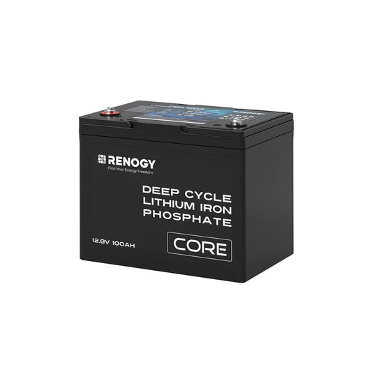 Renogy 12V 100Ah LiFePO4 Deep Cycle Battery, 5000+Deep Cycles, 100A BMS with Low-Temp Cutoff for RV/Solar/Off-Grid