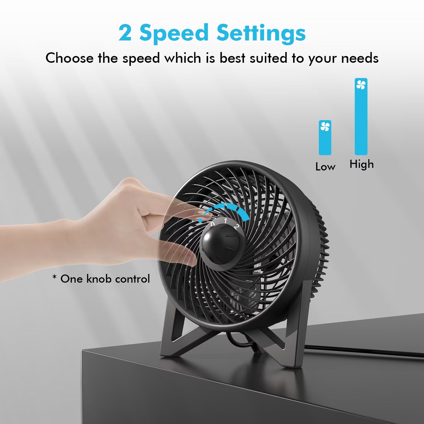 DR.PREPARE 8" Quiet Table Fan Powerful 2 Speed Bedside Desk Fans, Black