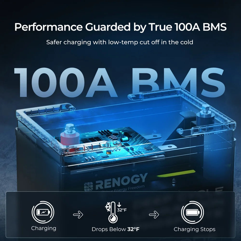 Renogy 12V 100Ah LiFePO4 Deep Cycle Battery, 5000+Deep Cycles, 100A BMS with Low-Temp Cutoff for RV/Solar/Off-Grid